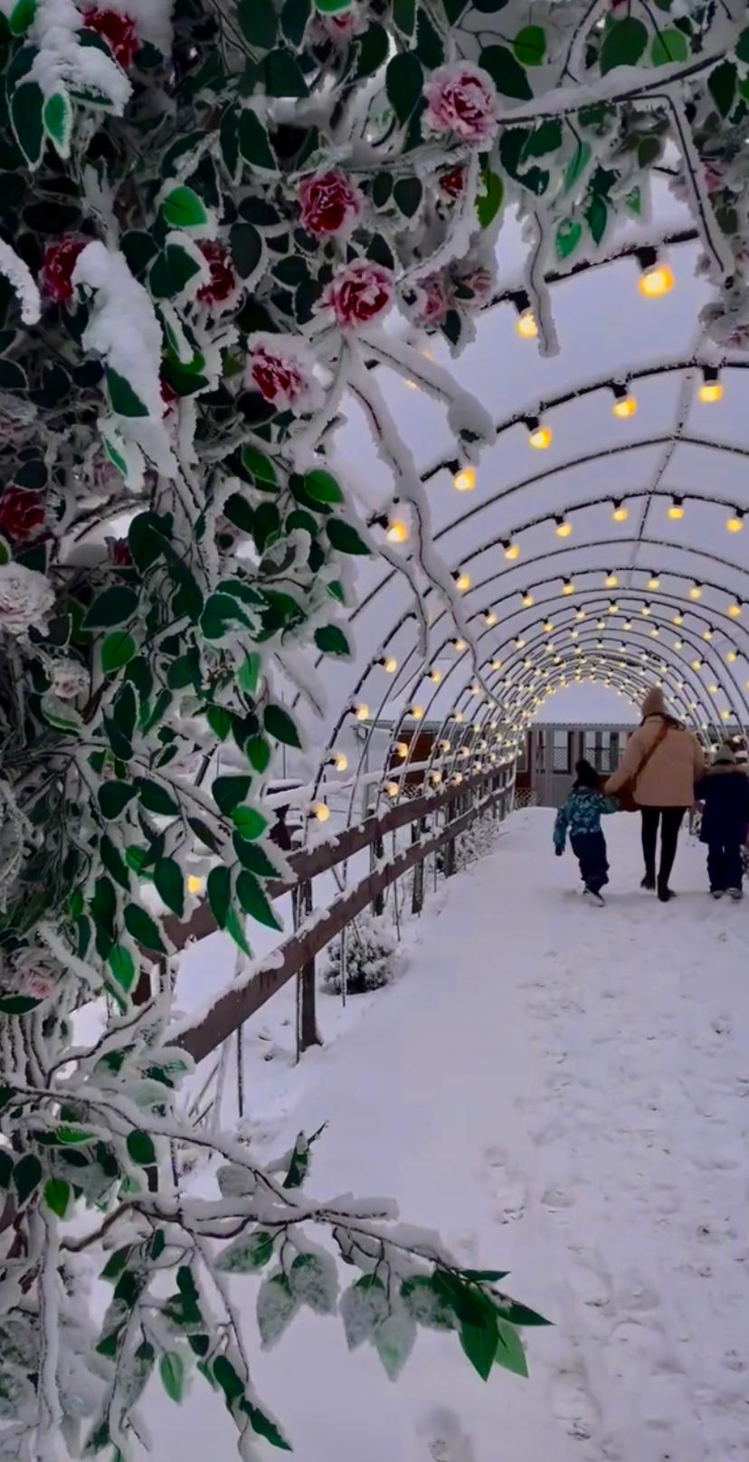Заснеженная аллея с арками-гирляндами в Дубовой Роще
